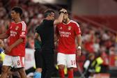 Marco Silva e Pavlidis, treinador e ponta de lança do Benfica (foto: Imago)