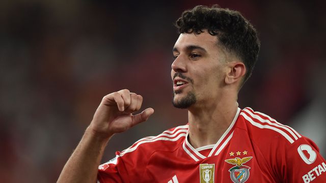 «Tomás Araújo é o colega ideal para Rúben Dias»