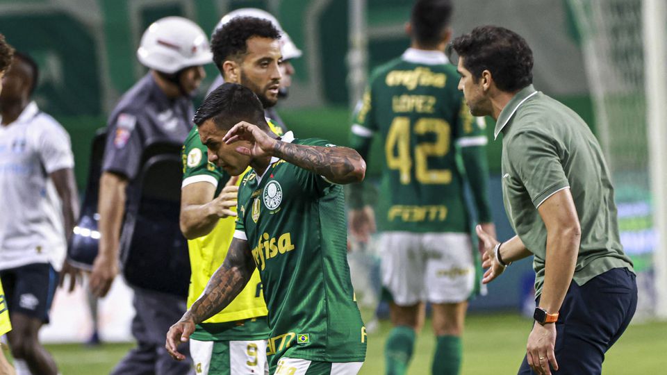 Dudu e Abel Ferreira no Palmeiras