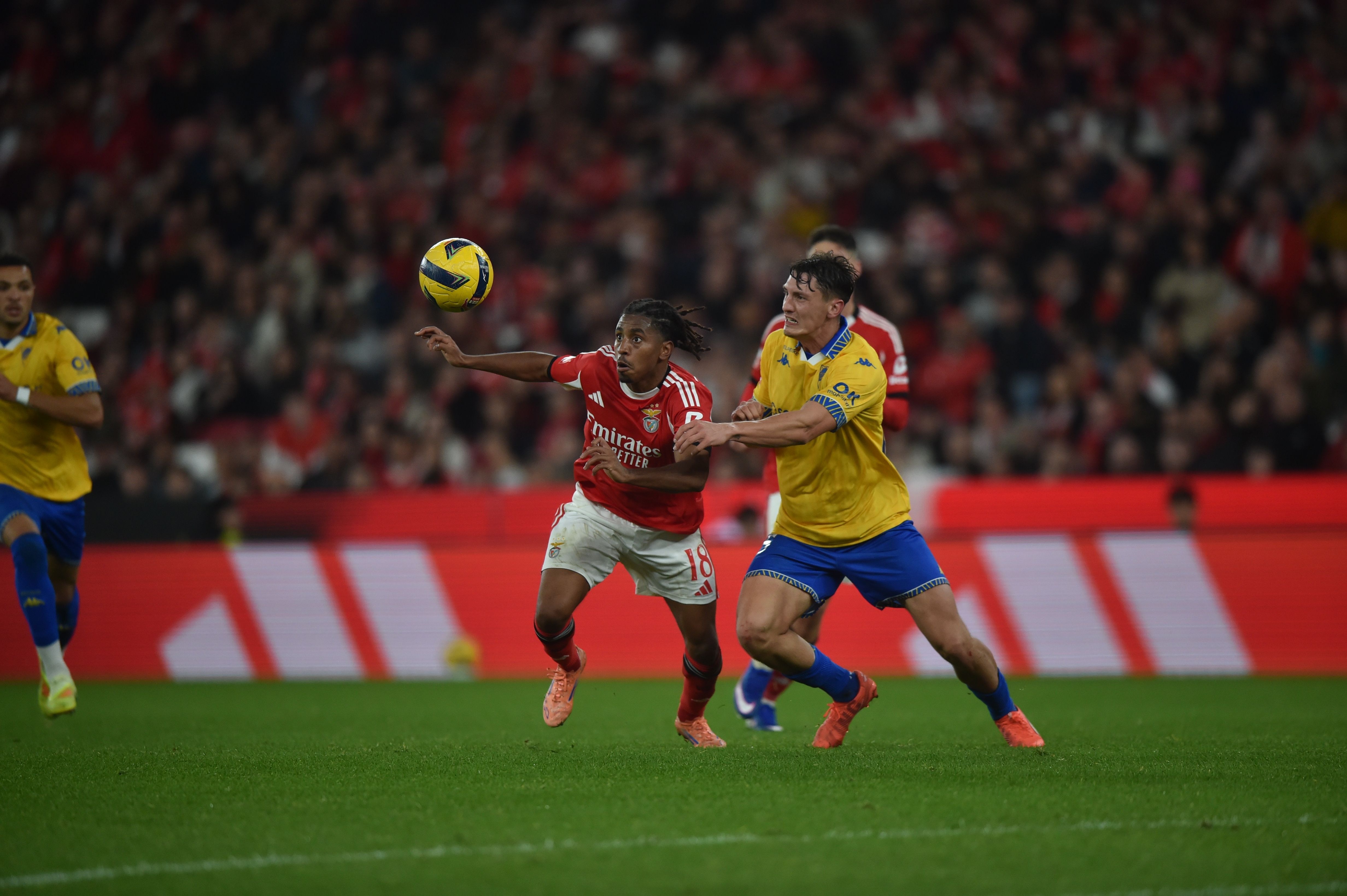 Leandro Barreiro - Foto: Miguel Nunes