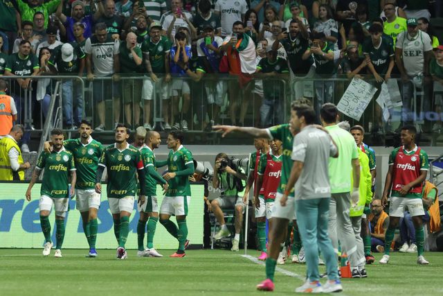 Estádio do Palmeiras interditado por causa do relvado