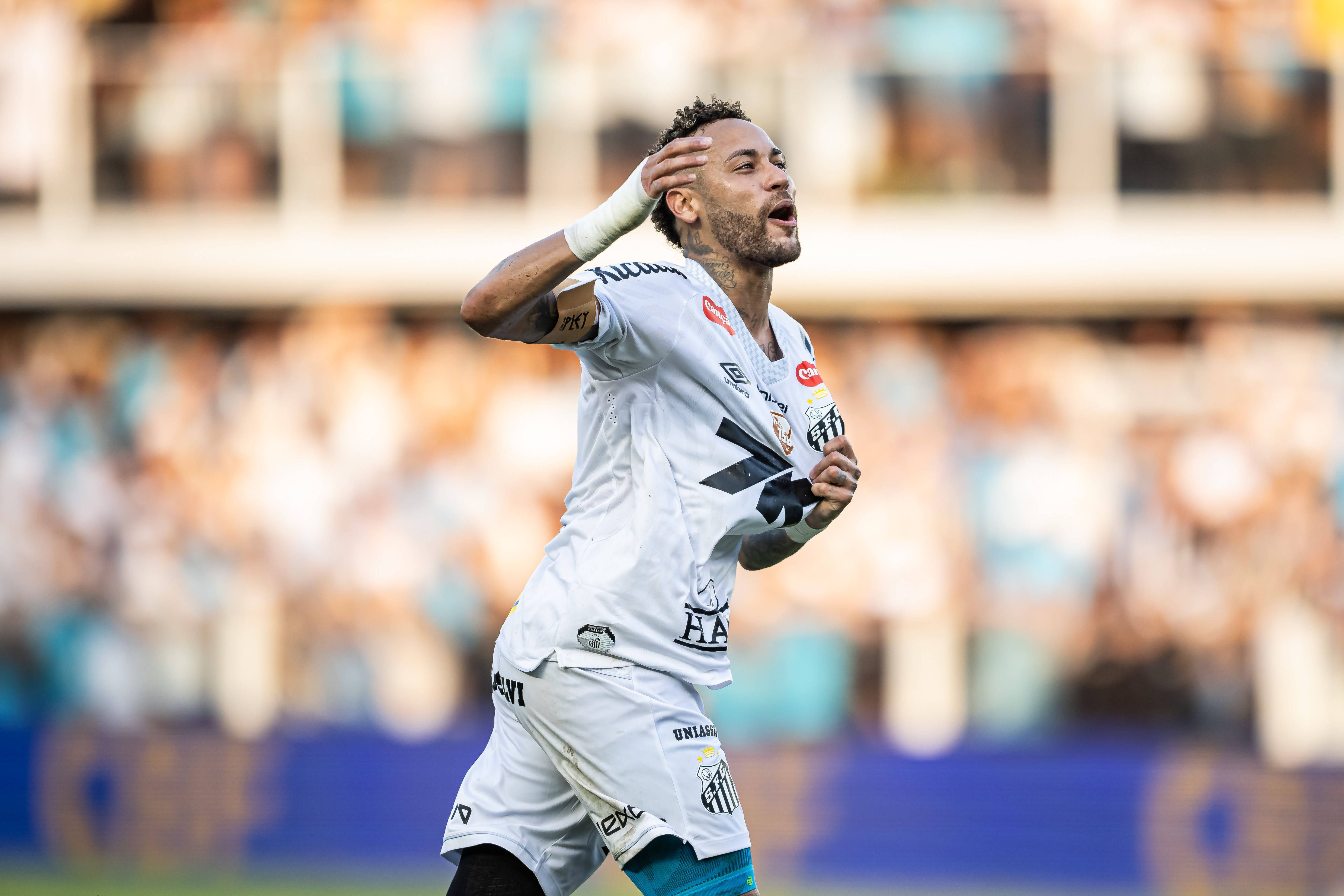 Neymar foi decisivo para a permanência do Santos no Brasileirão