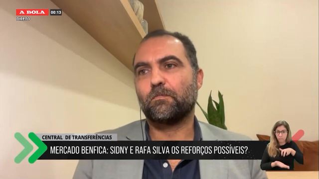 «Não creio que os adeptos do Benfica estejam delirantes com o mercado»