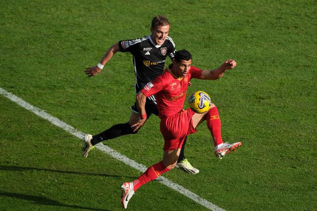 Gansos de crista levantada, galos protegidos das bicada: crónica do Casa Pia-Gil Vicente (veja o resumo)