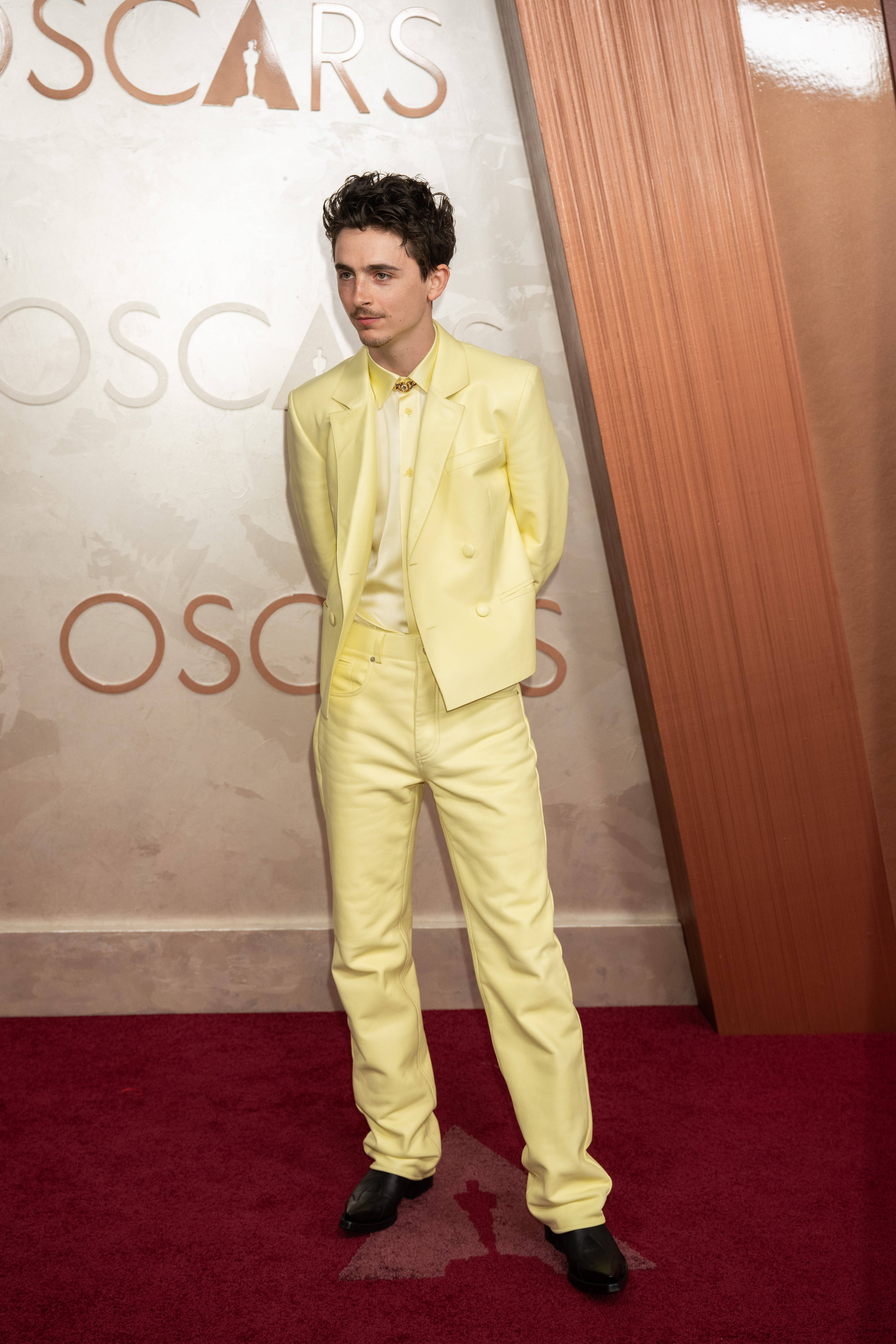 Timothée Chalamet na cerimónia dos Óscares