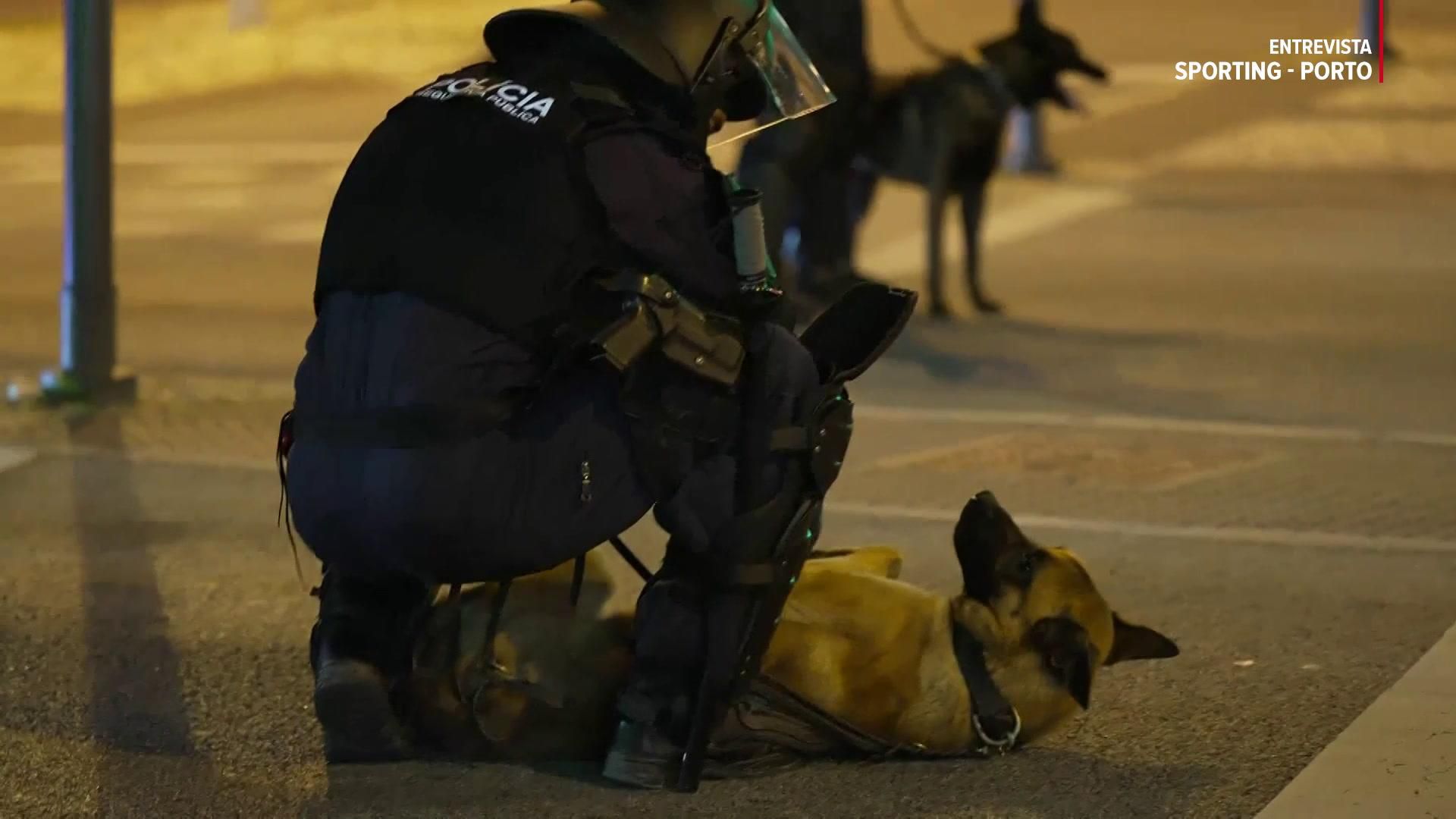 Cão de defesa ou fiel amigo? Delicioso momento entre o cachorro e o 'seu' polícia