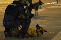 Cão de defesa ou fiel amigo? Delicioso momento entre o cachorro e o 'seu' polícia