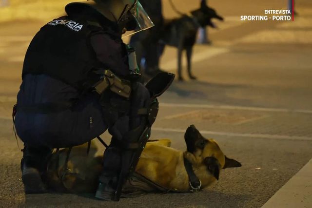 Cão de defesa ou fiel amigo? Delicioso momento entre o cachorro e o 'seu' polícia