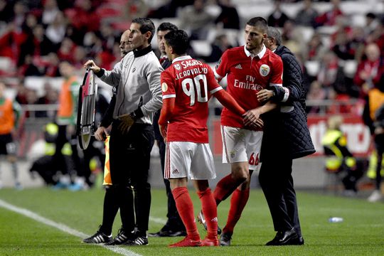 João Carvalho: «Não penso num regresso ao Benfica»