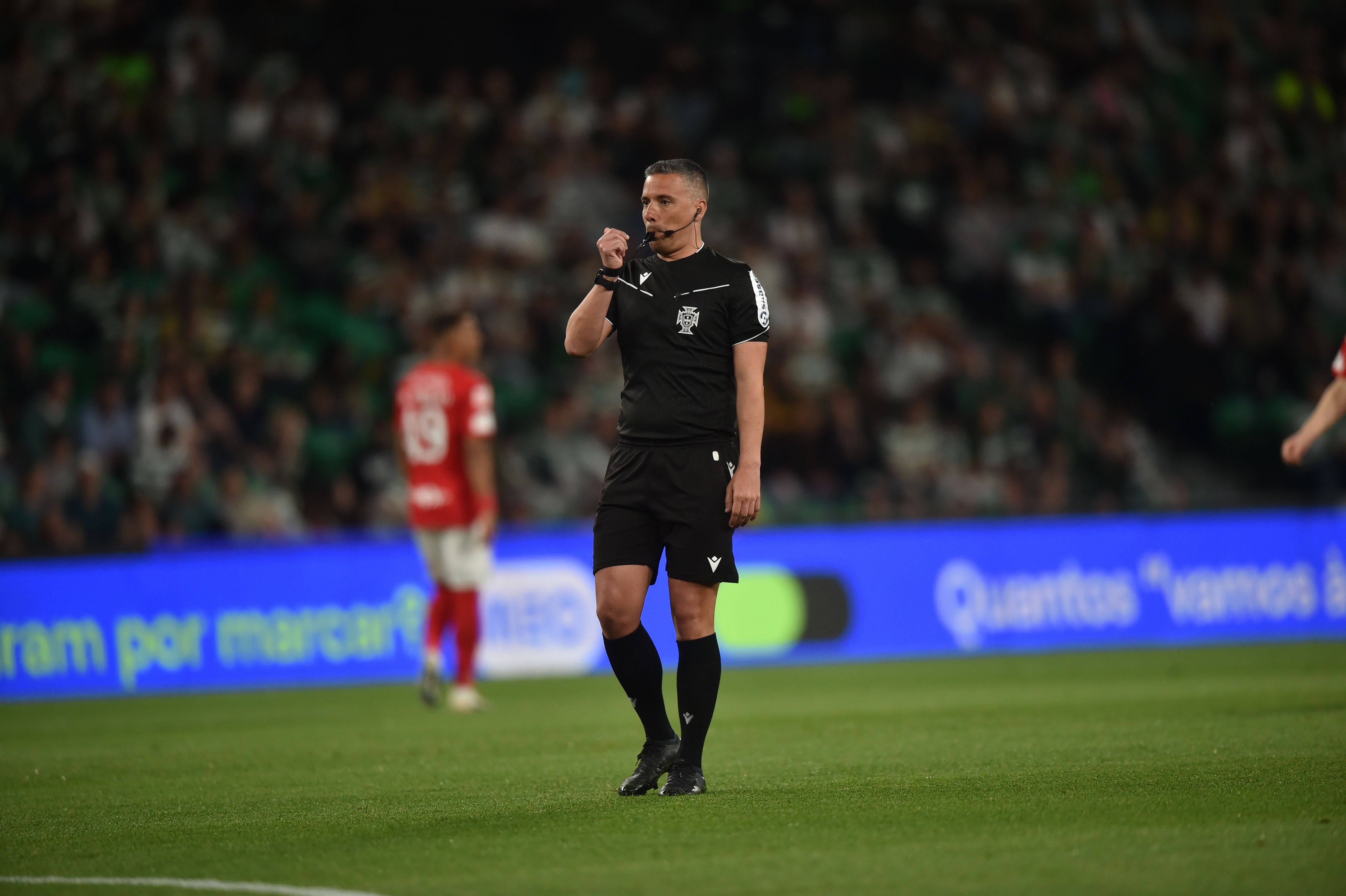 O árbitro André Narciso - Foto: Miguel Nunes