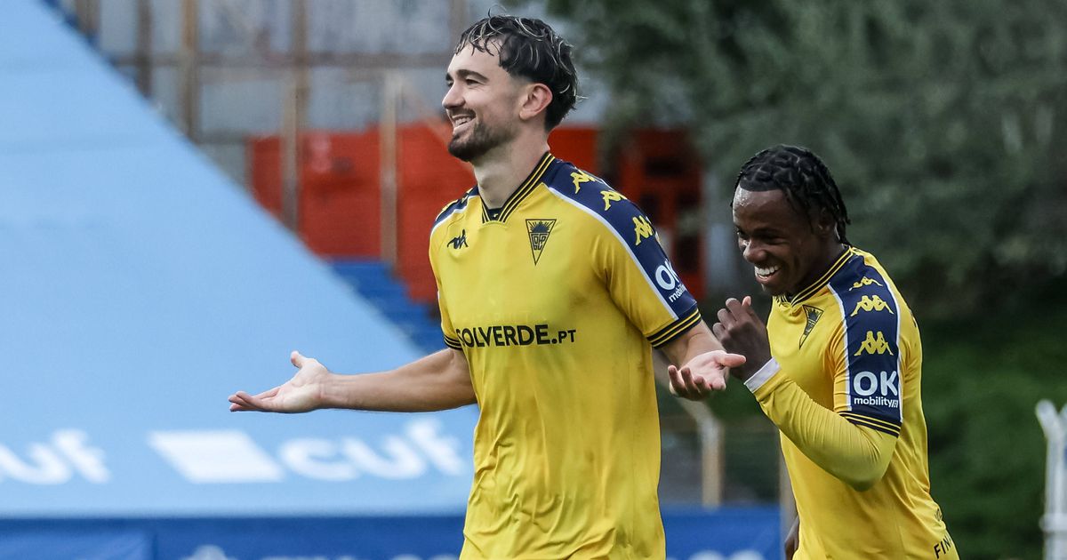 Canarinhos habituados a cantar ao Arouca