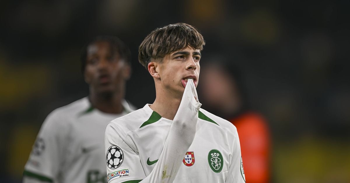 «Saída do Sporting? É a linha da vida, se aconteceu assim é porque tinha de ser»