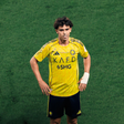 Félix em grande - Foto: IMAGO