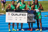 Arialis Martinez, Carlos Nascimento, Tatjana Pinto e Delvis Santos - foto: Federação Portuguesa de Atletismo