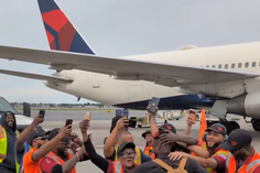 Tubarões azuis avistados em Boston!
