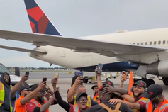 Tubarões azuis avistados em Boston!