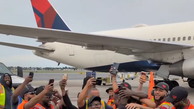 Tubarões azuis avistados em Boston!
