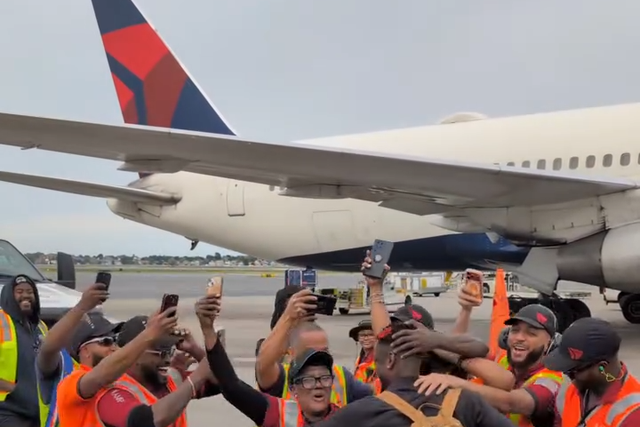Tubarões azuis avistados em Boston!