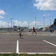 Loucos por Portugal: adeptos correm atrás do autocarro da Seleção