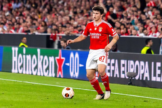 Joãozinho e baratinho