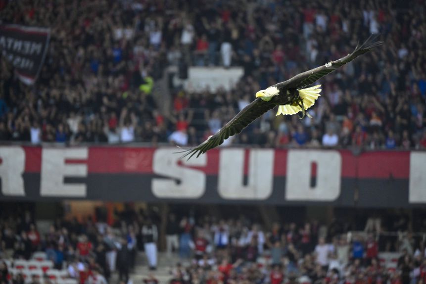 Allianz Rivier, Nice (Foto: IMAGO)