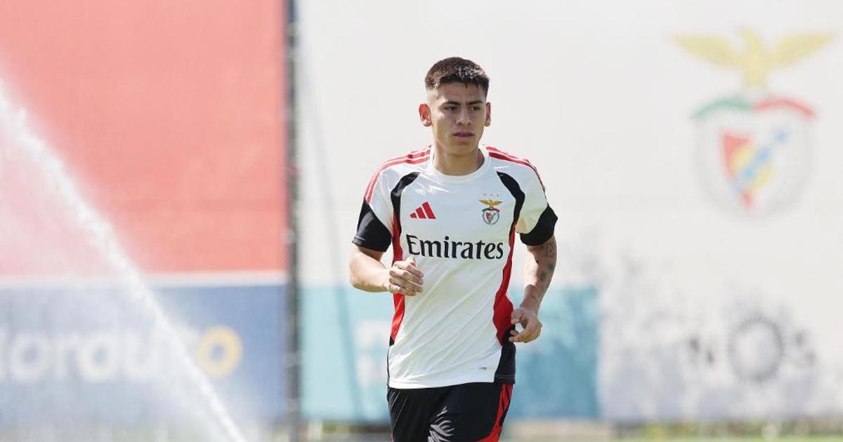 Echeverri, médio do Benfica (foto: SL Benfica)