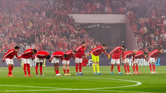 Luz foi fortaleza para o Benfica em 2024