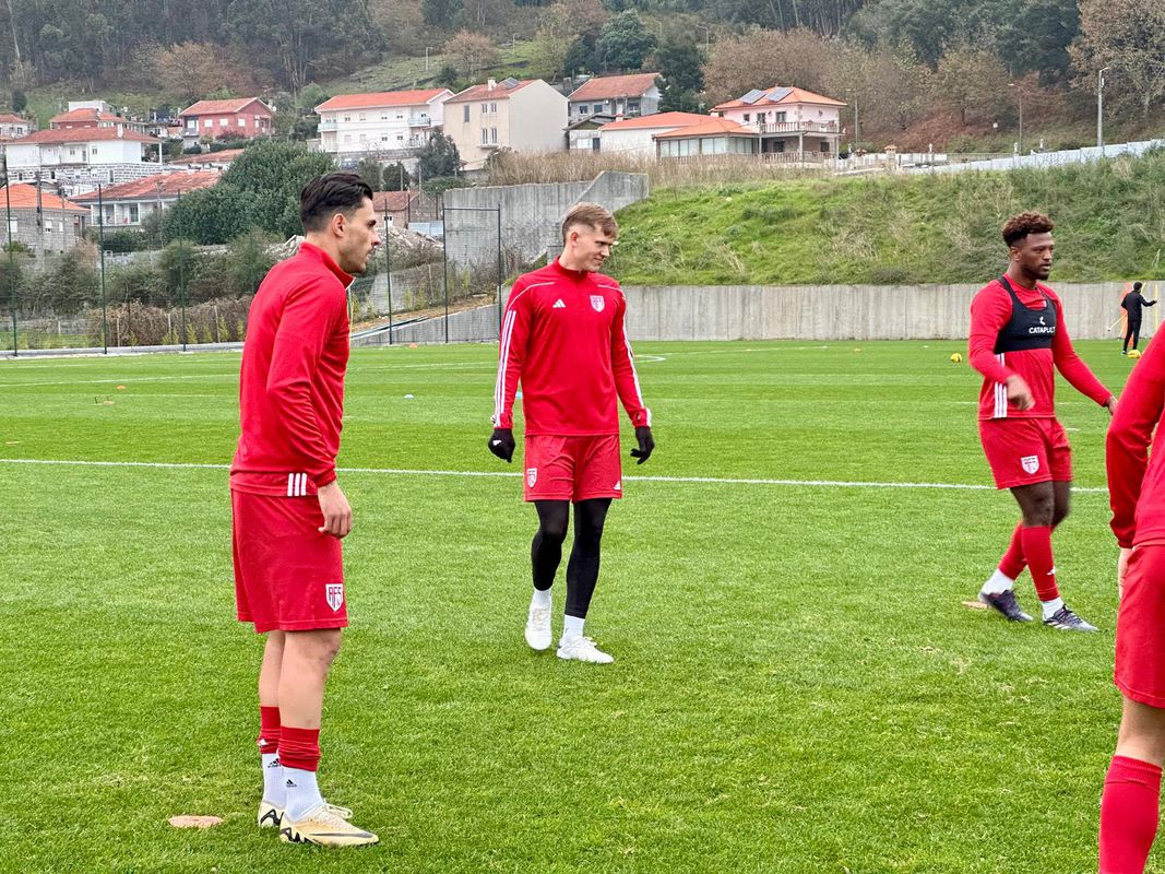 Aves SAD reforçado prepara ataque ao Gil Vicente