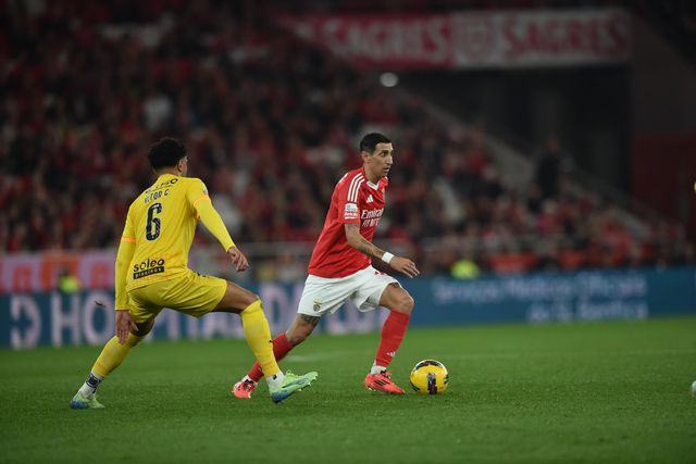 «Quando o resultado não está favorável há um anarquia tática no Benfica»