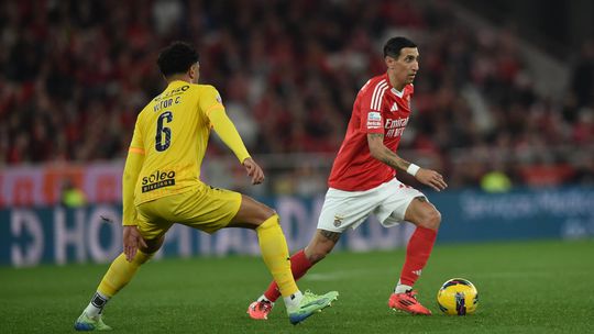 «Quando o resultado não está favorável há um anarquia tática no Benfica»