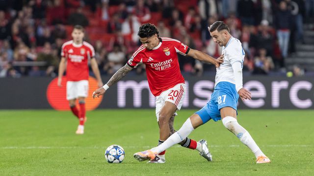 Lorenzo Lucca ao serviço do Nápoles frente ao Benfica (IMAGO)