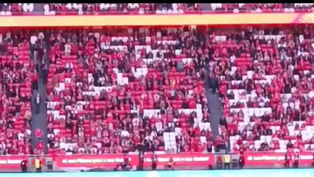 A aterragem da Águia Vitória