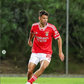 Vídeo: o golaço do Benfica B na Madeira