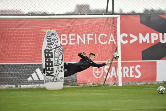 Trubin regressa à baliza do Benfica