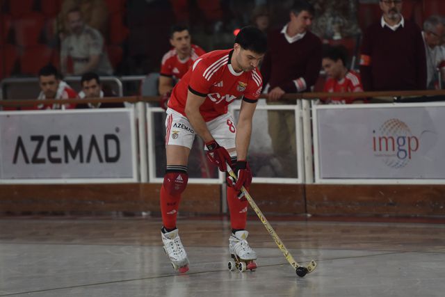 Nacional: Benfica imparável, Sporting não desarma e FC Porto sobe ao pódio
