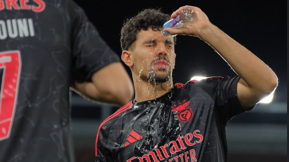 Benfica: Tomás Araújo chega-se à frente