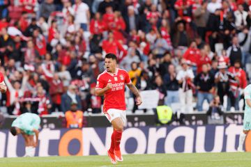 Benfica: «Marcos Leonardo? Ainda não viram nada»