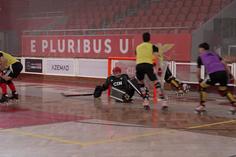 A toda a velocidade rumo à 'final eight' da Champions: último treino do Benfica em Lisboa
