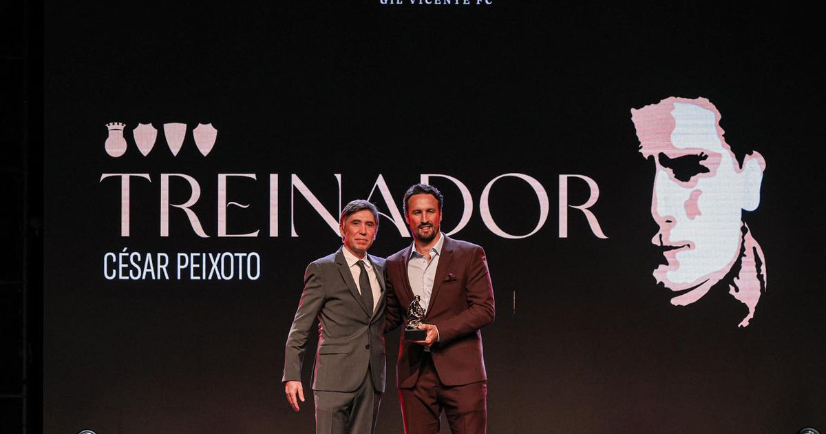 Gala Adelinos: César Peixoto e Santi Garcia galardoados