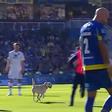 Quem é que o agarra? Cão invade campo e interrompe jogo do Rosario Central (vídeo)
