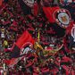 Adeptos do Flamengo adotaram o Urubu como mascote oficial (IMAGO)