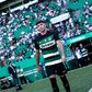 Sporting: convenceu no empréstimo, vai regressar e pode mesmo ser reforço