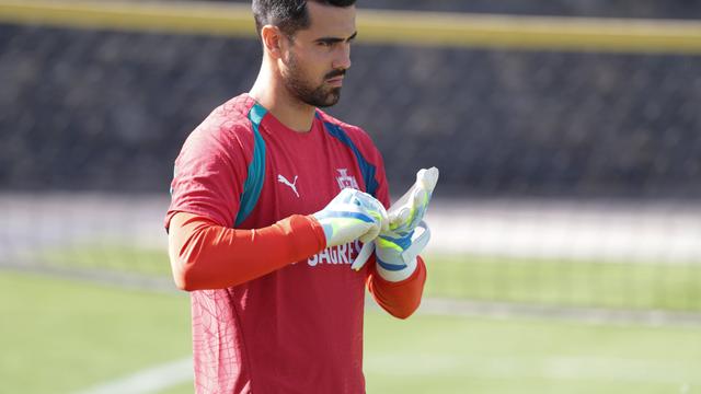 «Se há guarda-redes em quem eu confiaria para representar Portugal é o Diogo Costa»