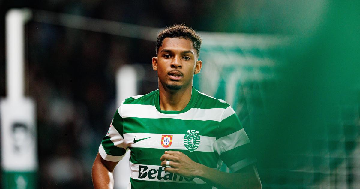 Não é reforço mas... quase. Sporting tem plano de afirmação para investimento de €14 milhões