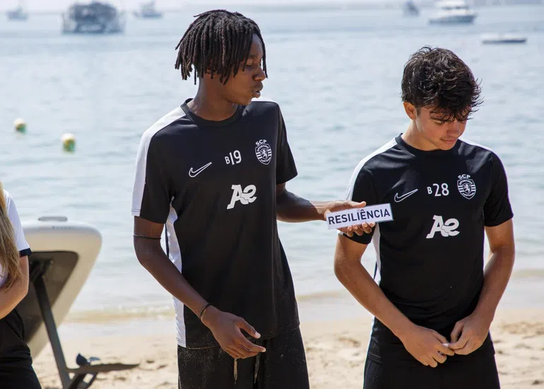 Leões trocam relva por banhos de mar!