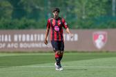 As novas cores de António Silva - Foto: AFC Bournemouth