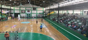 Andebol: V. Setúbal-FC Gaia interrompido após invasão de campo