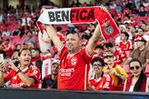 Eleições do Benfica estão marcadas para 25 de outubro - Foto: Imago