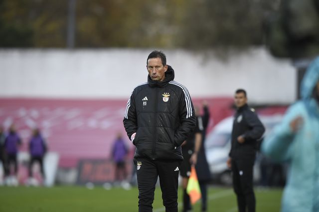 Roger Schmidt: «Época está a ser muito complicada»