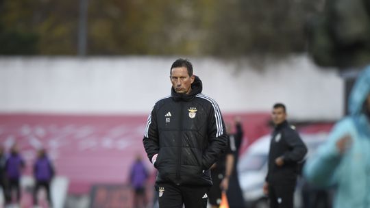 Roger Schmidt: «Época está a ser muito complicada»